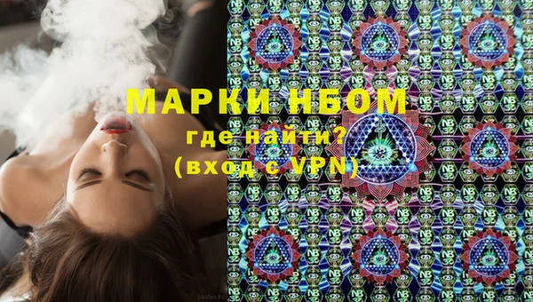крисы Бородино
