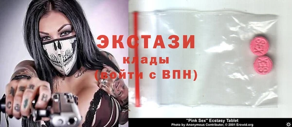 крисы Бородино