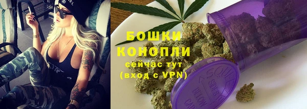 крисы Бородино