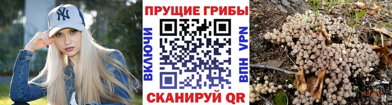 Псилоцибиновые грибы Psilocybe  это какой сайт  Южно-Сахалинск 